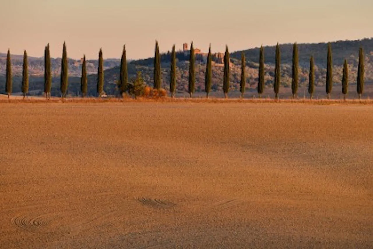 Agriturismo Il Casalino Pienza